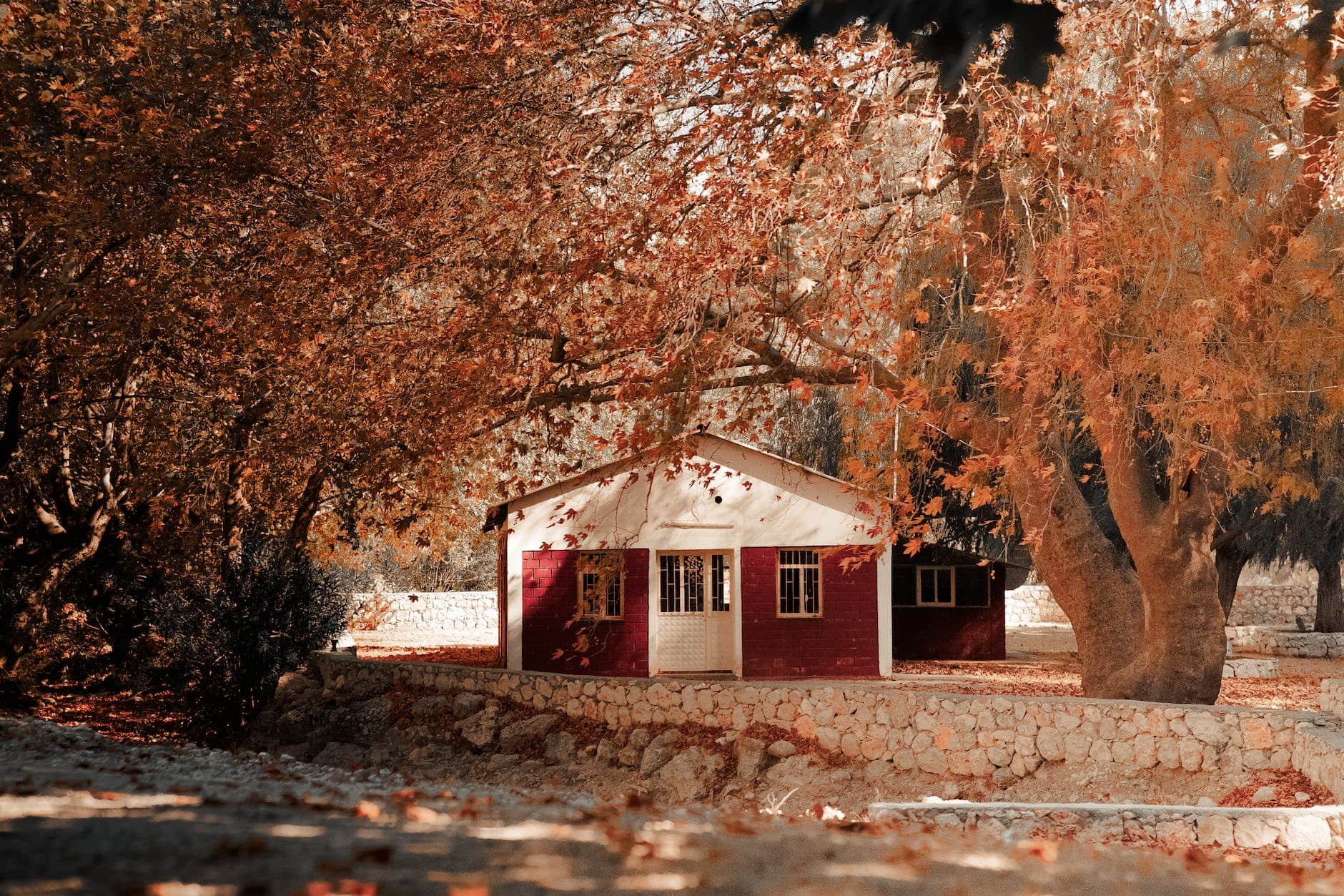 alberi autunnali intorno all'edificio in Vermont viaggio in autunno